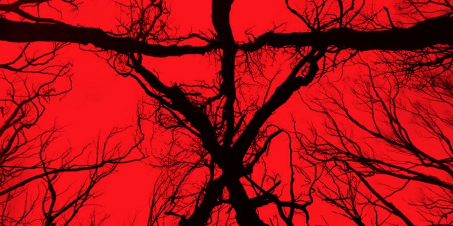 Blair Witch (2016) Review