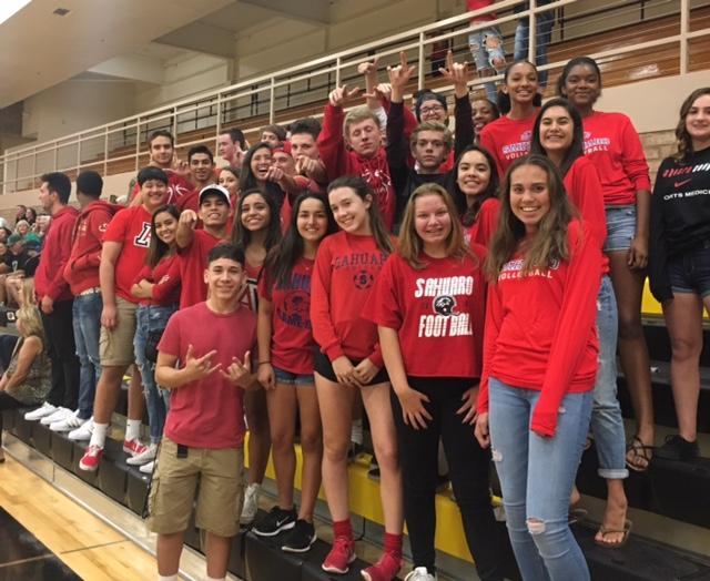 Sahuaro Loves Our Girls Volleyball