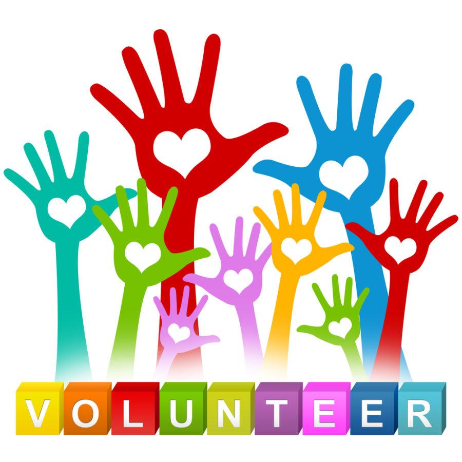 Volunteer Opportunities Here In Tucson