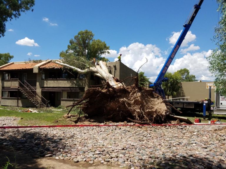 Tucson Microburst Storm Leaves Tons of Damage in Its Wake The Paper Cut