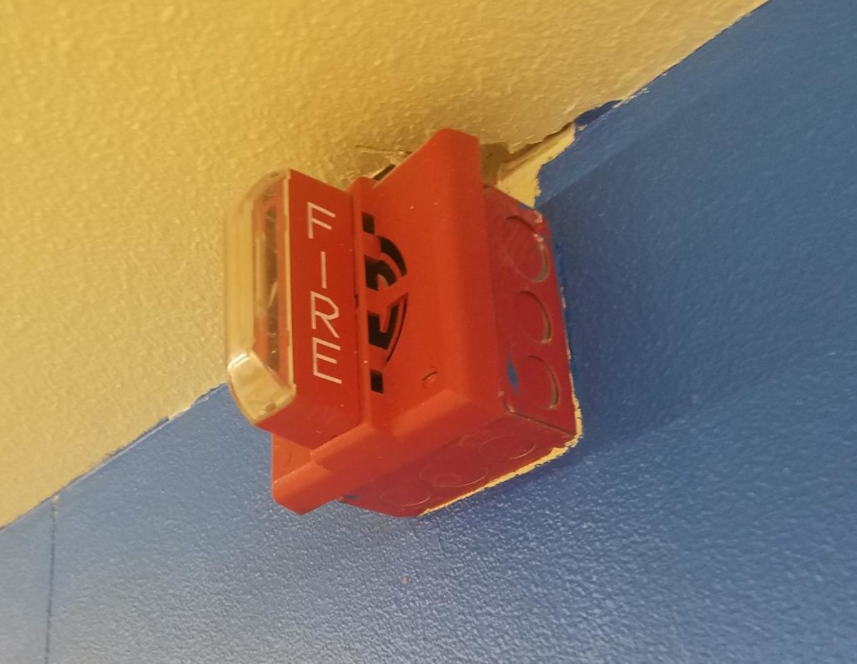 The Fire Alarm Dilemma