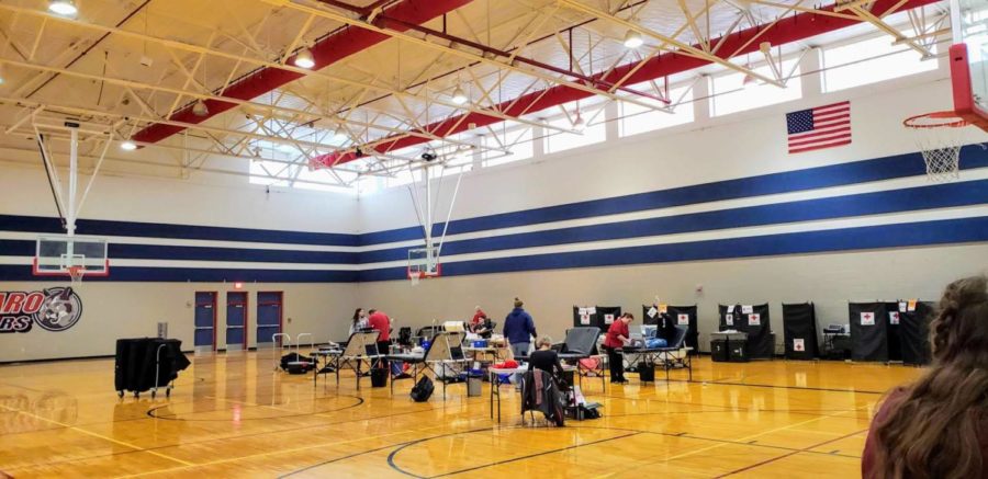 Cougar Blood Drive - A Bloody Success