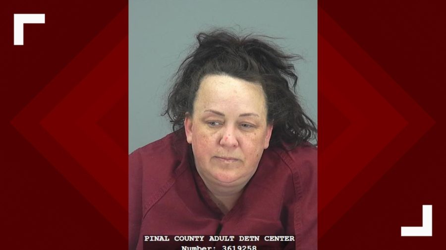 Arizona Mom Abused Kids for YouTube Channel