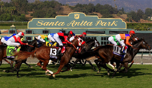 23 Racehorses Die in Santa Ana California