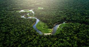 Amazon Deforestation Worse Than Ever