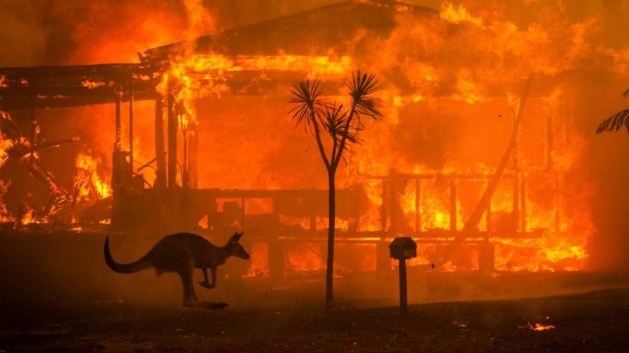 Australian Fire Expands - How to Help