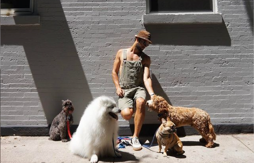 Lady Gagas Dog Walker in Recovery as Dogs Are Returned Safely