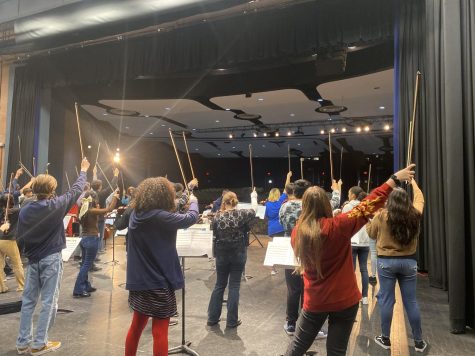 Whats New With Sahuaros Orchestra Program?