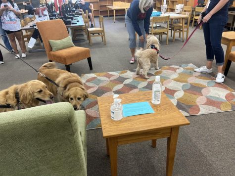Sahuaro Participates in Mental Health Awarness Month with Puppies