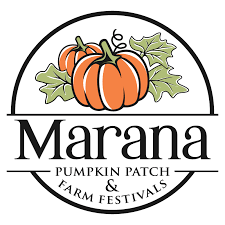 Marana Pumpkin Patch Fun