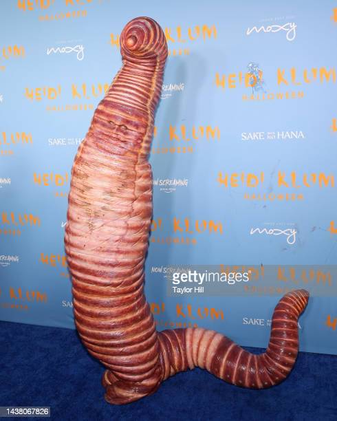 10. Heidi Klum has been known for many things but for example, she was on America got talent. So many people made so many memes and had a great laugh when they saw she had dressed up as a worm for the red carpet. 