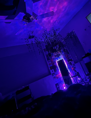My room is one of the top things that makes me happy. Its my safe place and where I want to be 24/7. Ive been working on decorating it for months now, but its finally getting close to how I would like it. 