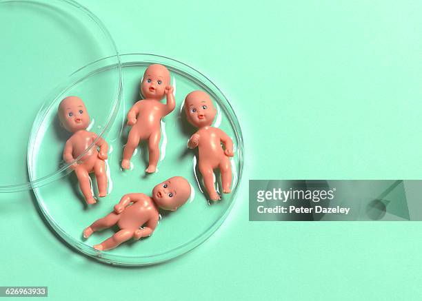 IVF+babies