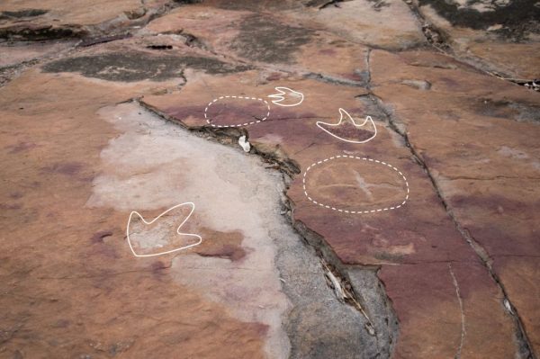 Ancient Rock Art Among Dinosaur Tracks Unveiled in Brazil