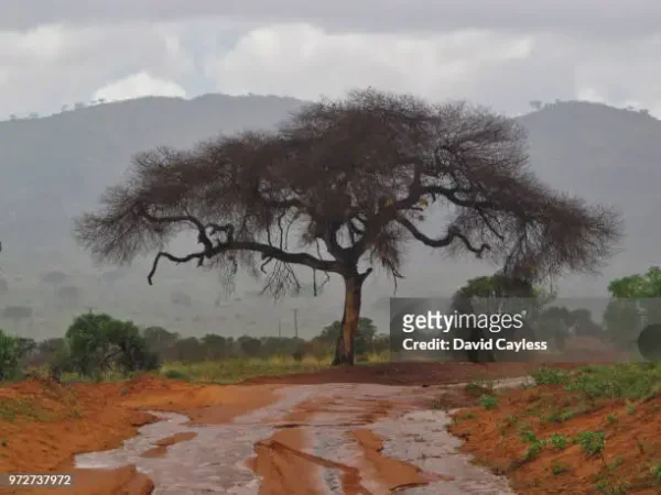 Flooding in Kenya