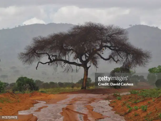 Flooding+in+Kenya