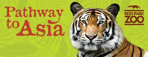 Discover the Wonders of Pathway to Asia at Reid Park Zoo